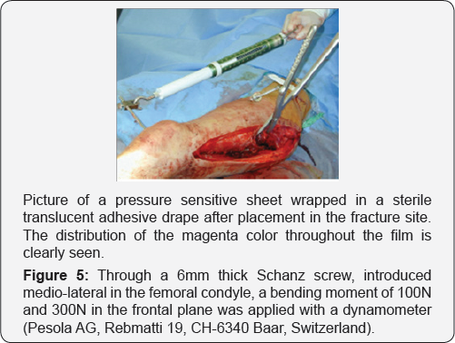 Click here to view Large Figure 5