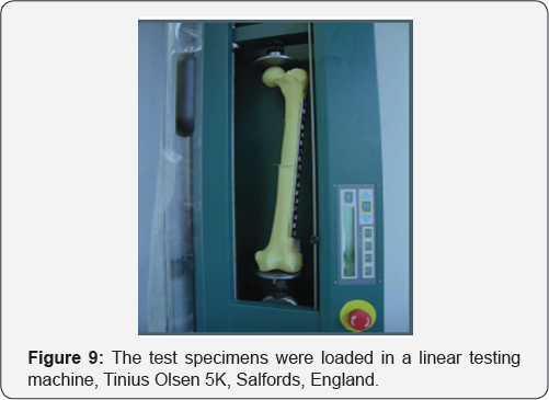 Click here to view Large Figure 9