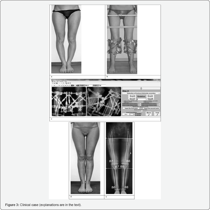 Click here to view Large Figure 3