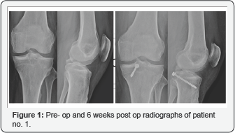 Click here to view Large Figure 1