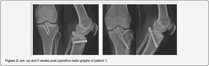 Click here to view Large Figure 2