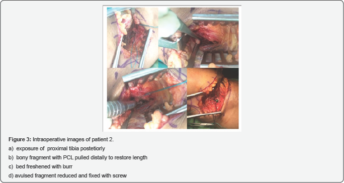 Click here to view Large Figure 3