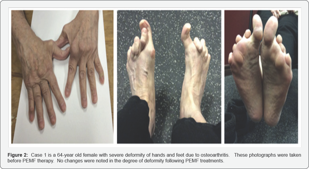 Click here to view Large Figure 2