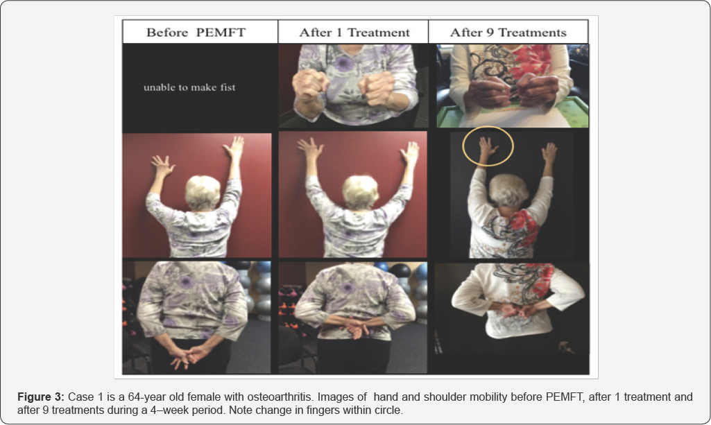 Click here to view Large Figure 3