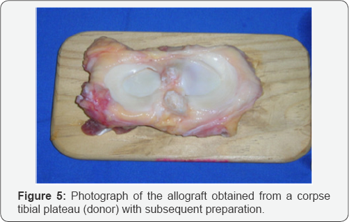 Click here to view Large Figure 5