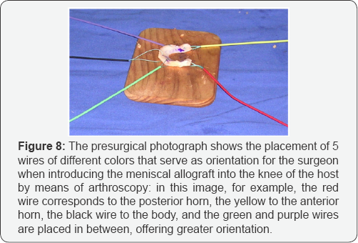 Click here to view Large Figure 8