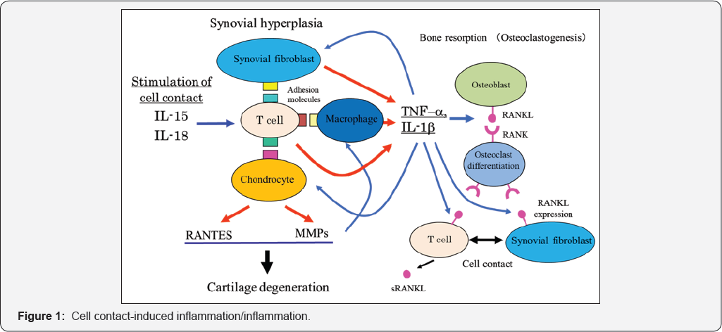 Click here to view Large Figure 1