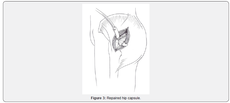 Click here to view Large Figure 3