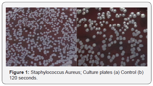 Click here to view Large Figure 1 Novel Techniques in Arthritis & Bone Research