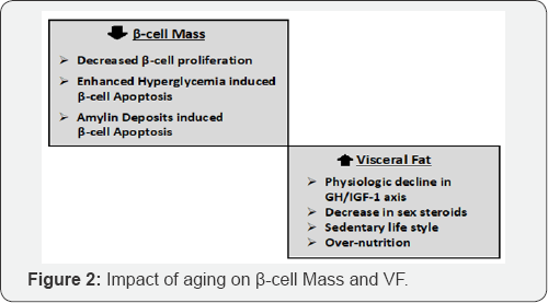 Click here to view Large Figure 2
