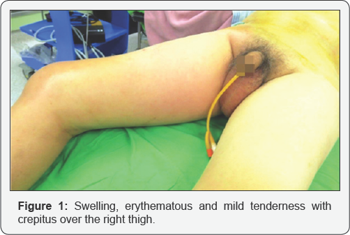 Click here to view Large Figure 1