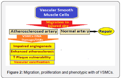 Click here to view Large Figure 2