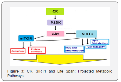 Click here to view Large Figure 3