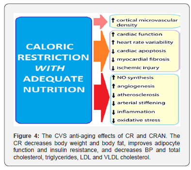 Click here to view Large Figure 4