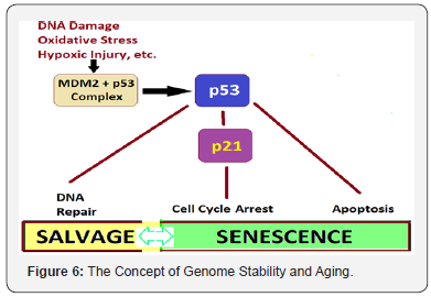 Click here to view Large Figure 6