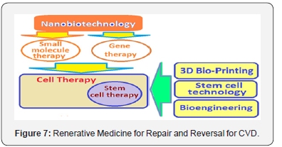 Click here to view Large Figure 7