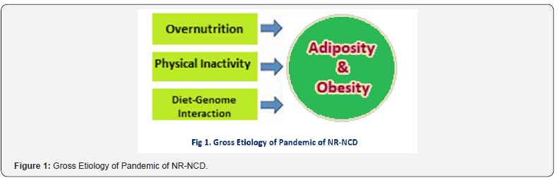 Click here to view Large Figure 1