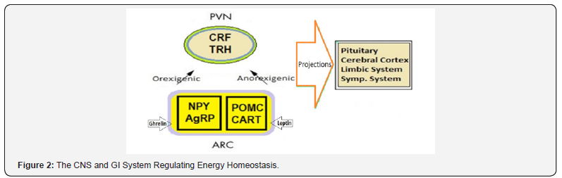 Click here to view Large Figure 2