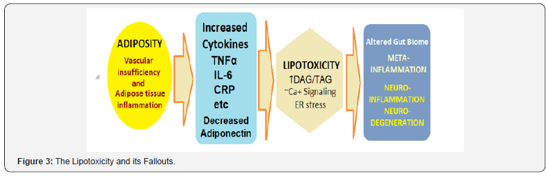 Click here to view Large Figure 3