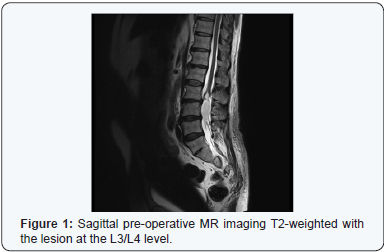 Click here to view Large Figure 1