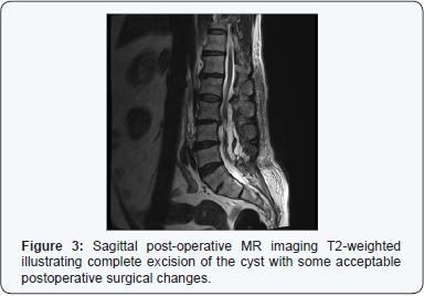 Click here to view Large Figure 3