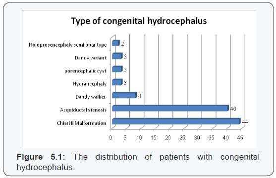 Click here to view Large Figure 5