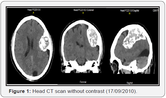 Click here to view Large Figure 1