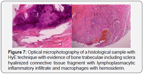 Click here to view Large Figure 7