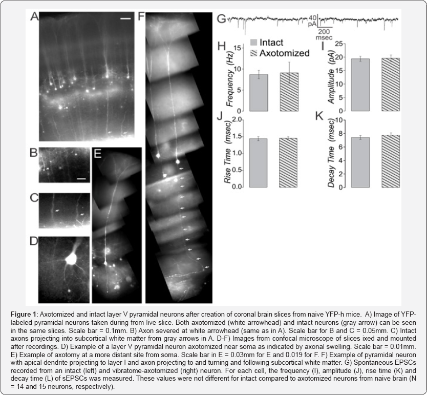 Click here to view Large Figure 1