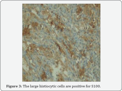 Click here to view Large Figure 3