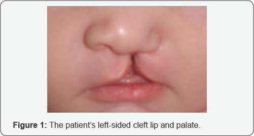 Click here to view Large Figure 1