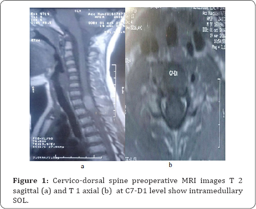 Click here to view Large Figure 1