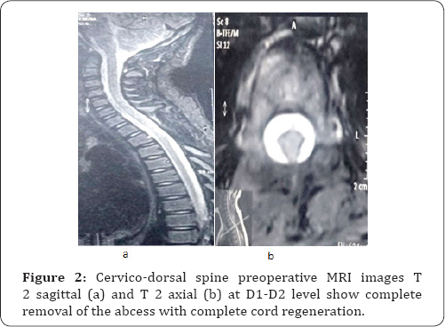 Click here to view Large Figure 2