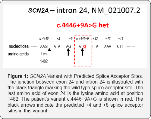 Click here to view Large Figure 1