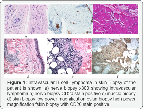 Click here to view Large Figure 1