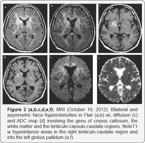 Click here to view Large Figure 2