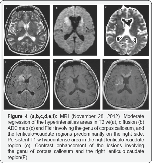 Click here to view Large Figure 4