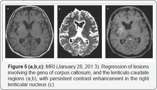 Click here to view Large Figure 5