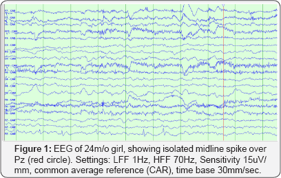 Click here to view Large Figure 1