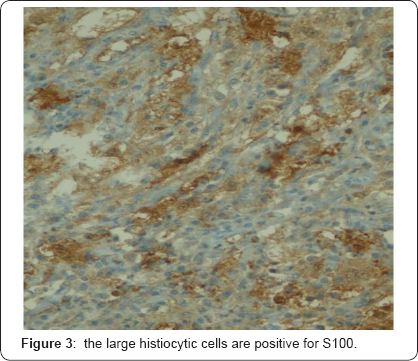 Click here to view Large Figure 3