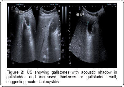 Click here to view Large Figure 2