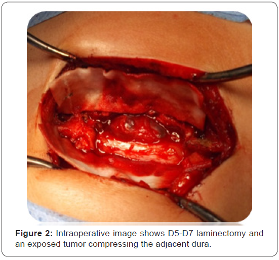 Click here to view Large Figure 2
