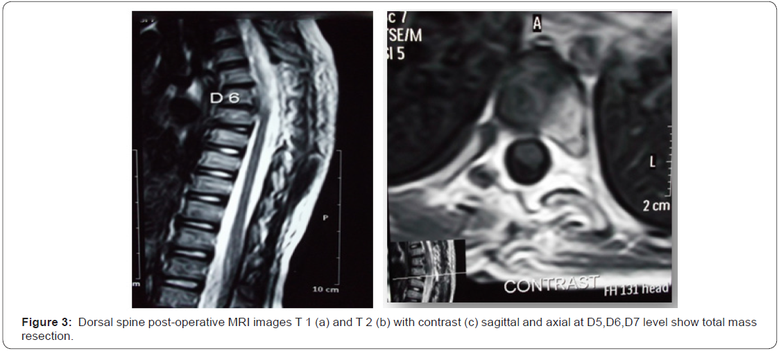 Click here to view Large Figure 3