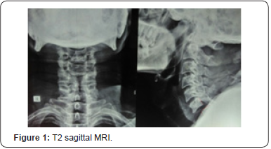 Click here to view Large Figure 1