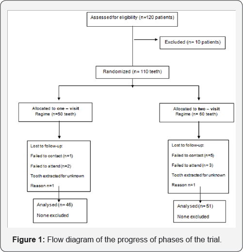 Click here to view Large Figure 1