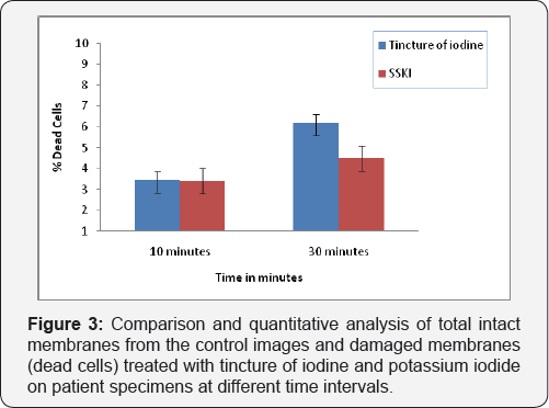 Click here to view Large Figure 1
