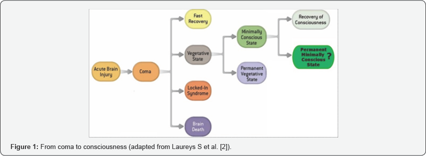 Click here to view Large Figure 1