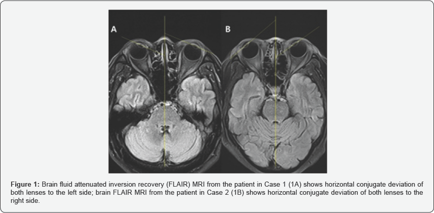 Click here to view Large Figure 1