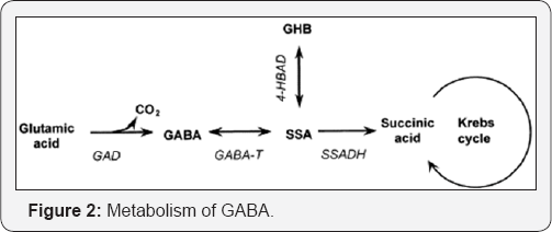Click here to view Large Figure 2