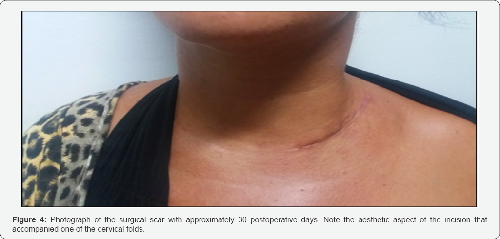 Click here to view Large Figure 1